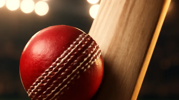 Diverse Sports Betting Options
